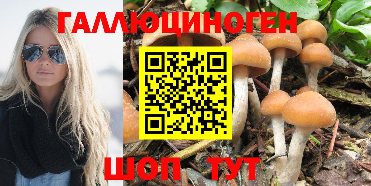 Галлюциногенные грибы мухоморы Киселёвск