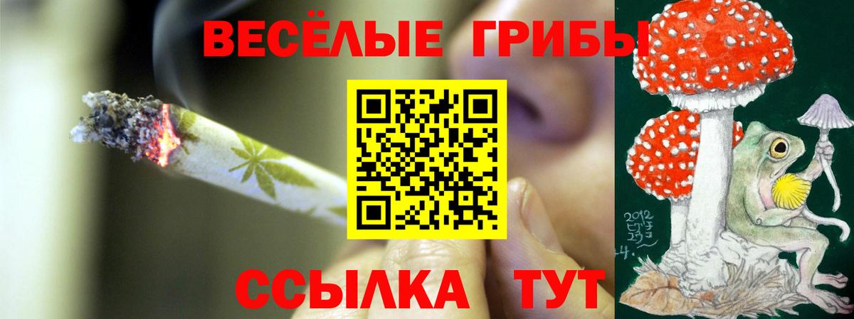 Псилоцибиновые грибы мухоморы  Вход с VPN  Галлюциногенные грибы Magic Shrooms  Киселёвск 
